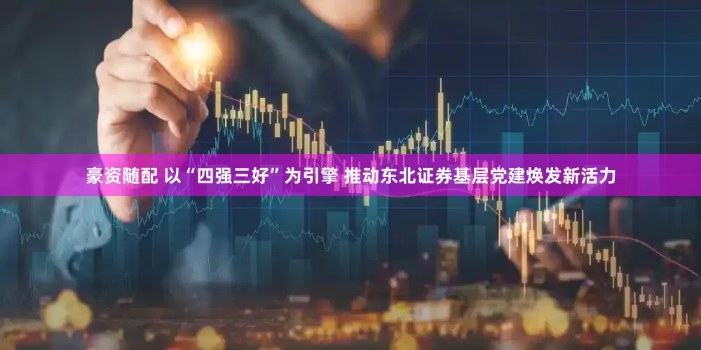 豪资随配 以“四强三好”为引擎 推动东北证券基层党建焕发新活力