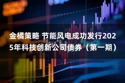 金橘策略 节能风电成功发行2025年科技创新公司债券（第一期）