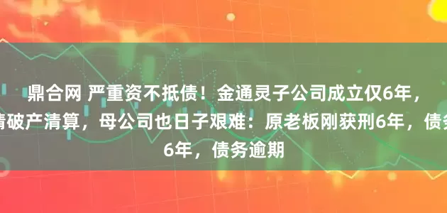鼎合网 严重资不抵债！金通灵子公司成立仅6年，被申请破产清算，母公司也日子艰难：原老板刚获刑6年，债务逾期